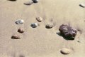 pebbles on beach